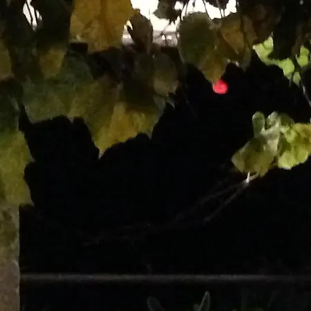 Castello - Solo Pernotto 쿠프라마리티마