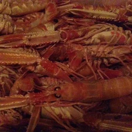 Hotel Castello - Solo Pernotto 2*