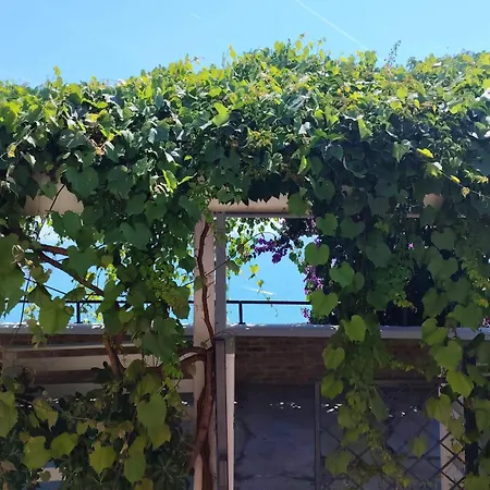 Hotell Castello Di Mara Cupra Marittima